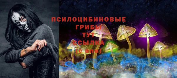 стафф Инта