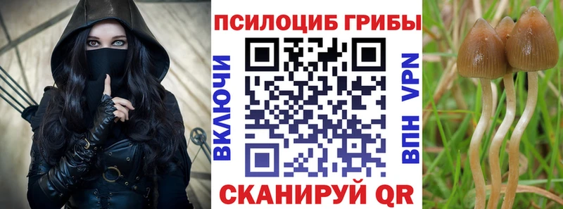 Купить где  Олёкминск  Галлюциногенные грибы мицелий 